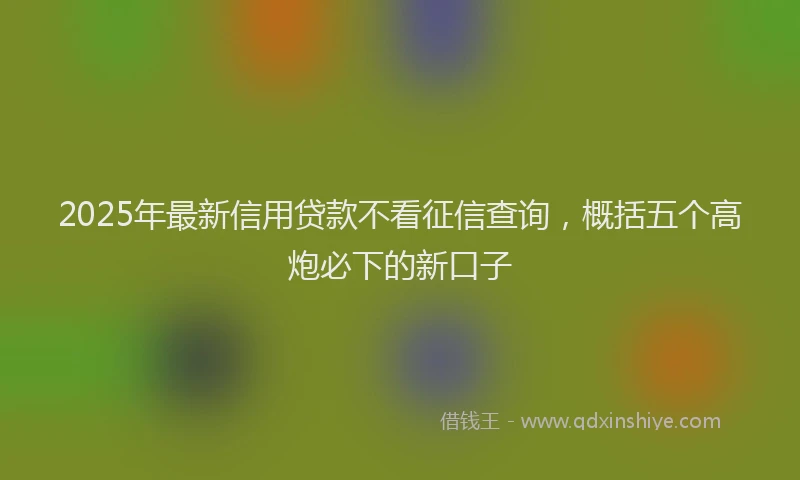 2025年最新信用贷款不看征信查询，概括五个高炮必下的新口子