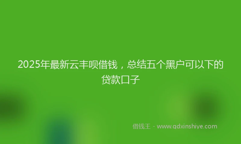 2025年最新云丰呗借钱，总结五个黑户可以下的贷款口子