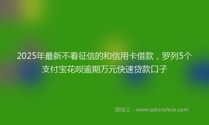 2025年最新不看征信的和信用卡借款，罗列5个支付宝花呗逾期万元快速贷款口子