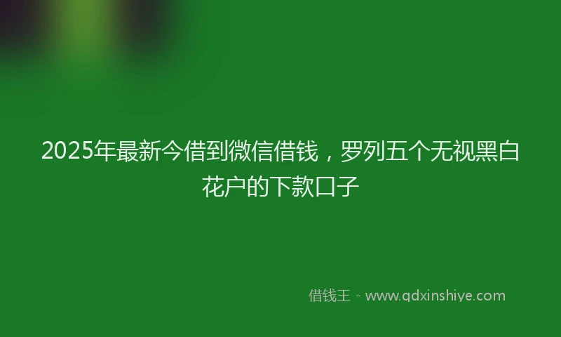 2025年最新今借到微信借钱，罗列五个无视黑白花户的下款口子