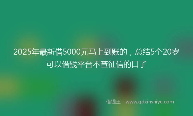 2025年最新借5000元马上到账的，总结5个20岁可以借钱平台不查征信的口子
