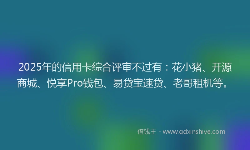 2025年的信用卡综合评审不过有：花小猪、开源商城、悦享Pro钱包、易贷宝速贷、老哥租机等。
