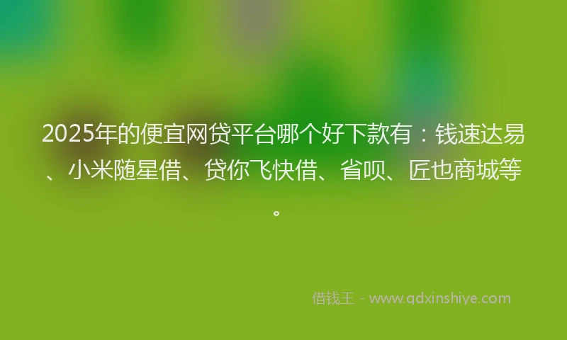 2025年的便宜网贷平台哪个好下款有：钱速达易、小米随星借、贷你飞快借、省呗、匠也商城等。