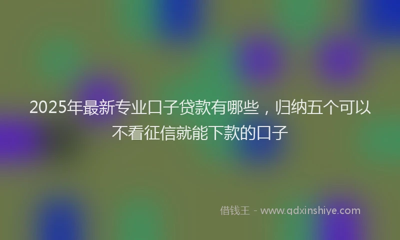 2025年最新专业口子贷款有哪些，归纳五个可以不看征信就能下款的口子