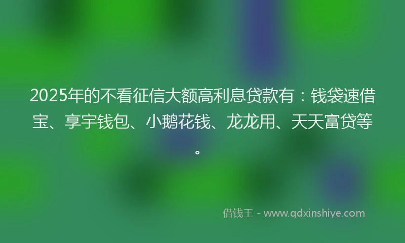 2025年的不看征信大额高利息贷款有：钱袋速借宝、享宇钱包、小鹅花钱、龙龙用、天天富贷等。