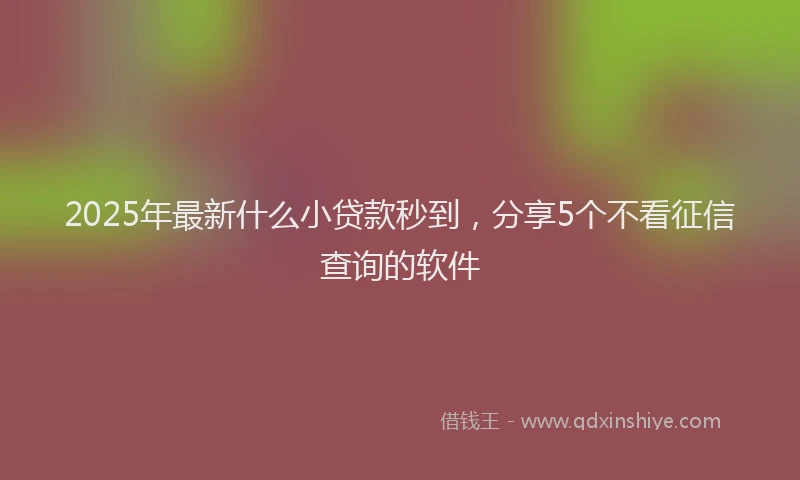 2025年最新什么小贷款秒到，分享5个不看征信查询的软件
