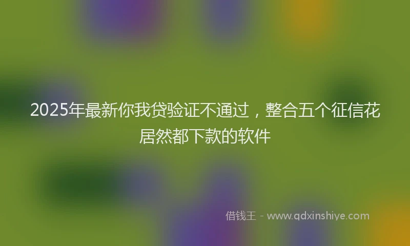 2025年最新你我贷验证不通过，整合五个征信花居然都下款的软件