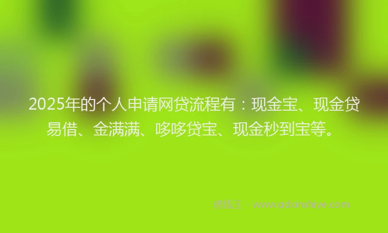 2025年的个人申请网贷流程有：现金宝、现金贷易借、金满满、哆哆贷宝、现金秒到宝等。