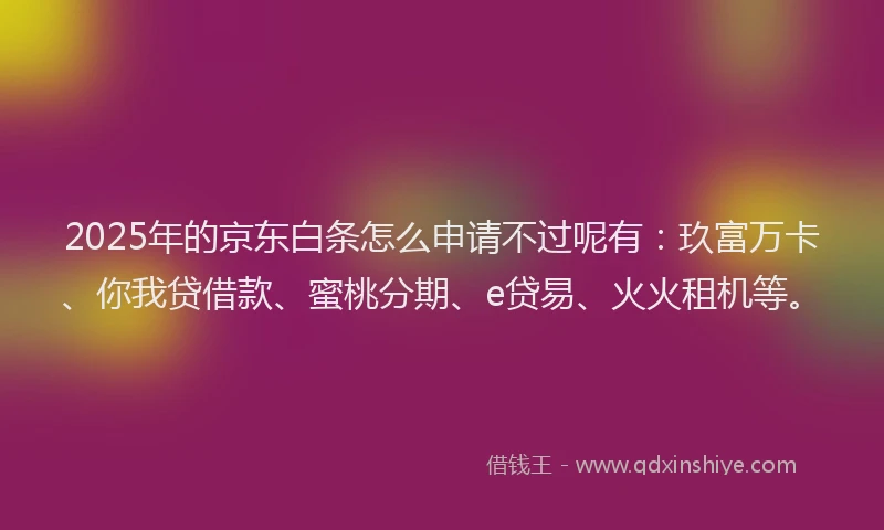 2025年的京东白条怎么申请不过呢有：玖富万卡、你我贷借款、蜜桃分期、e贷易、火火租机等。