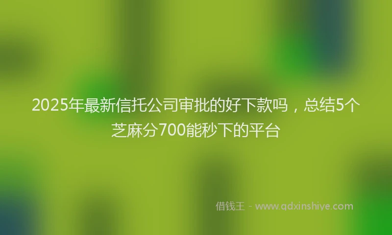 2025年最新信托公司审批的好下款吗，总结5个芝麻分700能秒下的平台