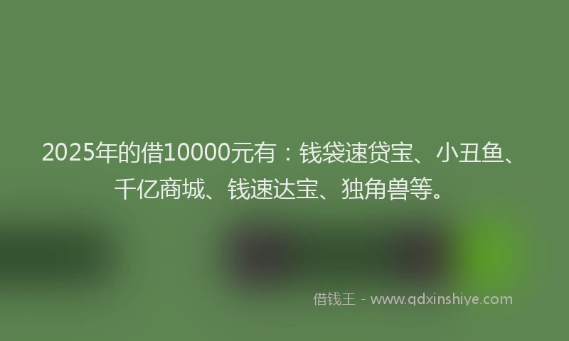 2025年的借10000元有：钱袋速贷宝、小丑鱼、千亿商城、钱速达宝、独角兽等。
