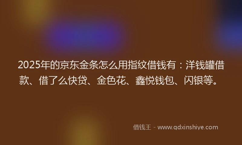 2025年的京东金条怎么用指纹借钱有：洋钱罐借款、借了么快贷、金色花、鑫悦钱包、闪银等。