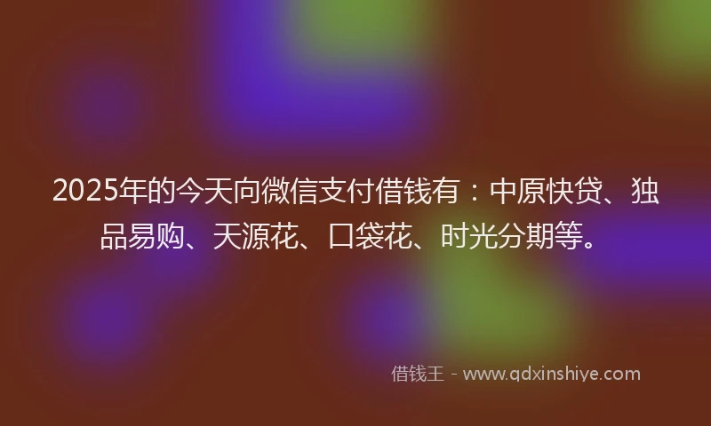 2025年的今天向微信支付借钱有：中原快贷、独品易购、天源花、口袋花、时光分期等。