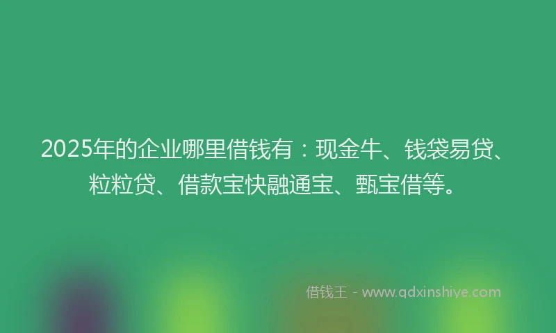 2025年的企业哪里借钱有：现金牛、钱袋易贷、粒粒贷、借款宝快融通宝、甄宝借等。