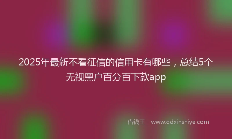 2025年最新不看征信的信用卡有哪些，总结5个无视黑户百分百下款app
