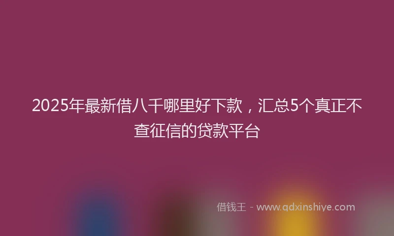 2025年最新借八千哪里好下款，汇总5个真正不查征信的贷款平台