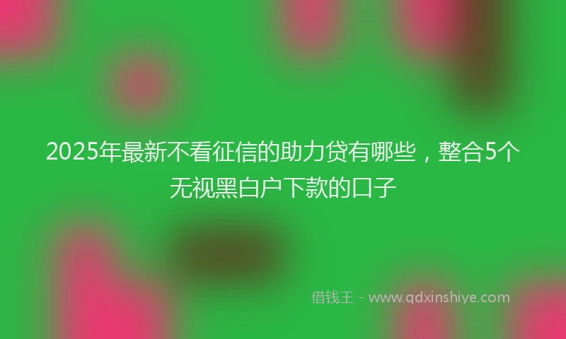 2025年最新不看征信的助力贷有哪些，整合5个无视黑白户下款的口子