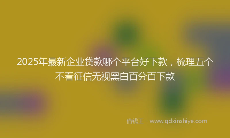 2025年最新企业贷款哪个平台好下款，梳理五个不看征信无视黑白百分百下款