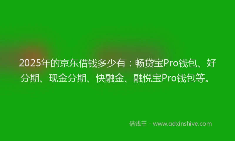 2025年的京东借钱多少有：畅贷宝Pro钱包、好分期、现金分期、快融金、融悦宝Pro钱包等。