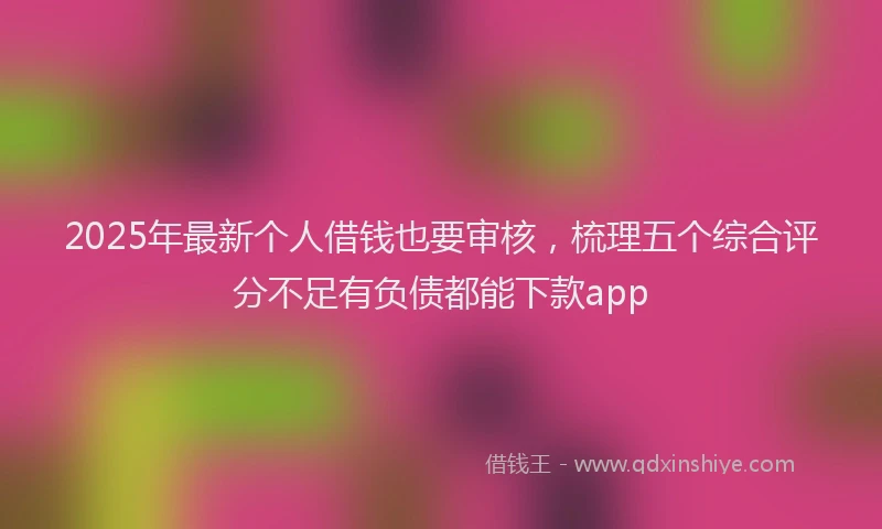 2025年最新个人借钱也要审核，梳理五个综合评分不足有负债都能下款app