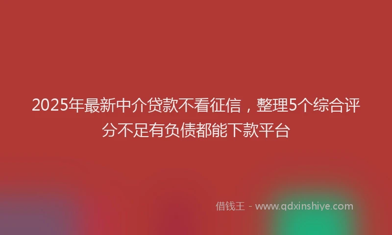 2025年最新中介贷款不看征信，整理5个综合评分不足有负债都能下款平台