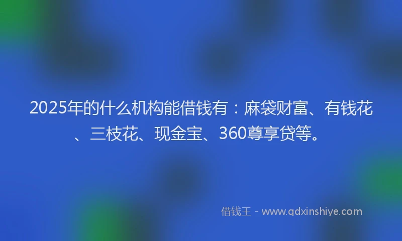 2025年的什么机构能借钱有：麻袋财富、有钱花、三枝花、现金宝、360尊享贷等。