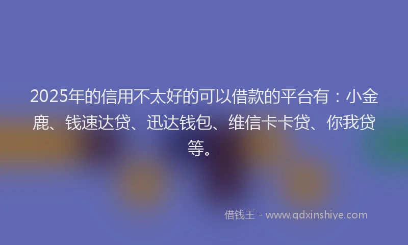 2025年的信用不太好的可以借款的平台有：小金鹿、钱速达贷、迅达钱包、维信卡卡贷、你我贷等。