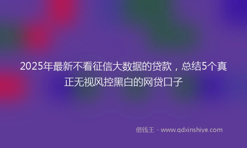 2025年最新不看征信大数据的贷款，总结5个真正无视风控黑白的网贷口子