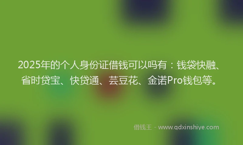2025年的个人身份证借钱可以吗有：钱袋快融、省时贷宝、快贷通、芸豆花、金诺Pro钱包等。