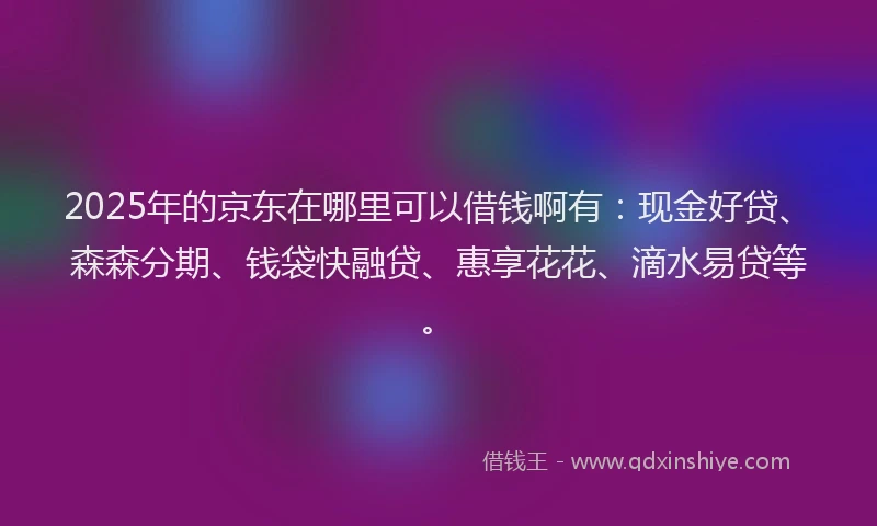 2025年的京东在哪里可以借钱啊有：现金好贷、森森分期、钱袋快融贷、惠享花花、滴水易贷等。