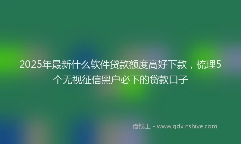 2025年最新什么软件贷款额度高好下款，梳理5个无视征信黑户必下的贷款口子