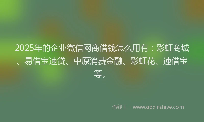 2025年的企业微信网商借钱怎么用有：彩虹商城、易借宝速贷、中原消费金融、彩虹花、速借宝等。