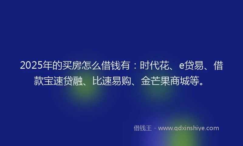2025年的买房怎么借钱有：时代花、e贷易、借款宝速贷融、比速易购、金芒果商城等。