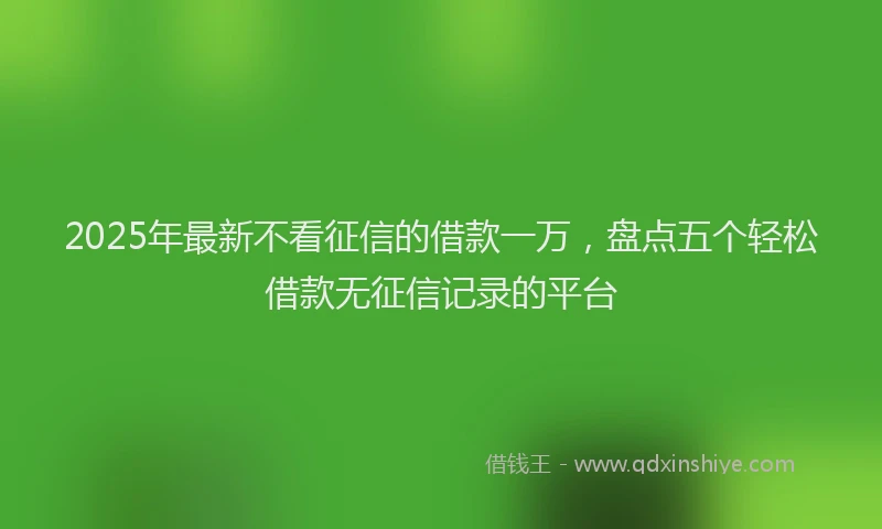 2025年最新不看征信的借款一万，盘点五个轻松借款无征信记录的平台