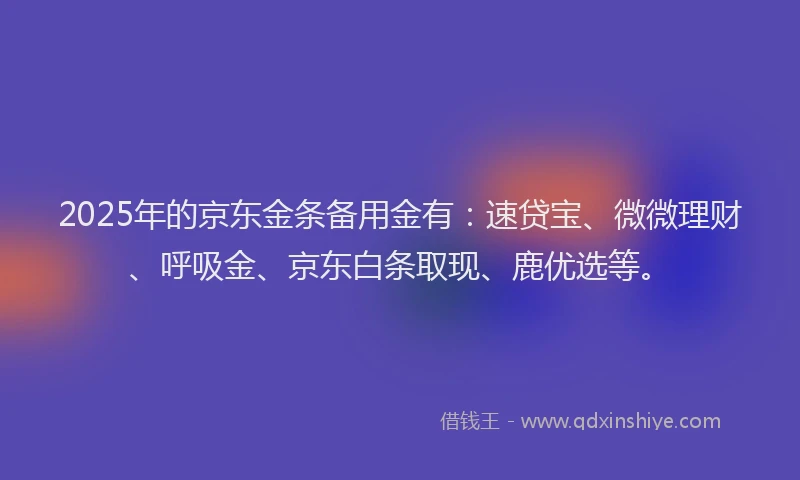 2025年的京东金条备用金有：速贷宝、微微理财、呼吸金、京东白条取现、鹿优选等。