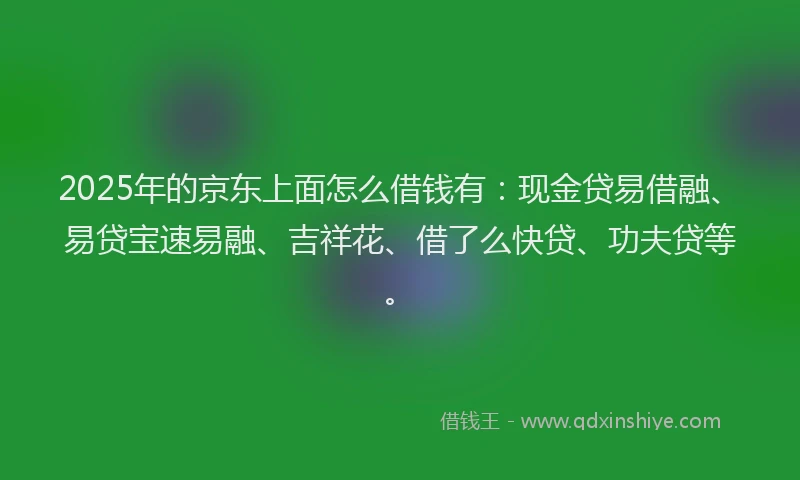2025年的京东上面怎么借钱有：现金贷易借融、易贷宝速易融、吉祥花、借了么快贷、功夫贷等。