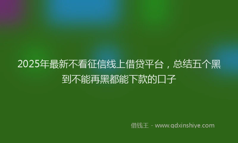 2025年最新不看征信线上借贷平台，总结五个黑到不能再黑都能下款的口子