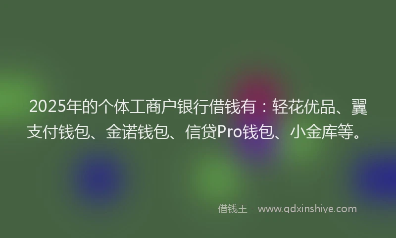 2025年的个体工商户银行借钱有：轻花优品、翼支付钱包、金诺钱包、信贷Pro钱包、小金库等。