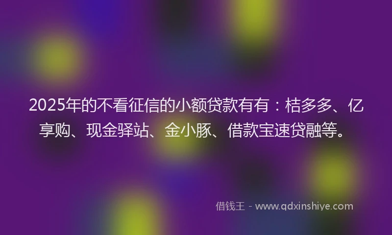 2025年的不看征信的小额贷款有有：桔多多、亿享购、现金驿站、金小豚、借款宝速贷融等。