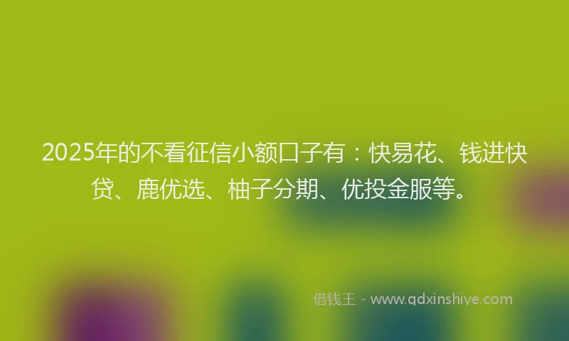 2025年的不看征信小额口子有：快易花、钱进快贷、鹿优选、柚子分期、优投金服等。