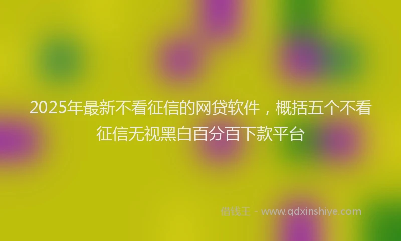 2025年最新不看征信的网贷软件，概括五个不看征信无视黑白百分百下款平台