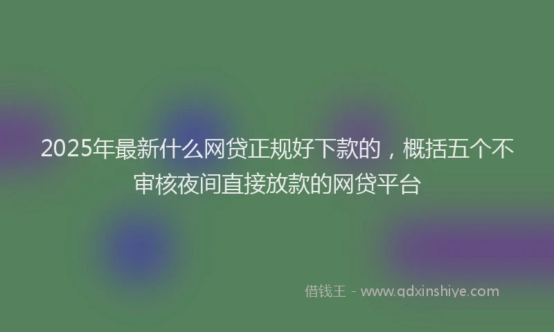 2025年最新什么网贷正规好下款的，概括五个不审核夜间直接放款的网贷平台
