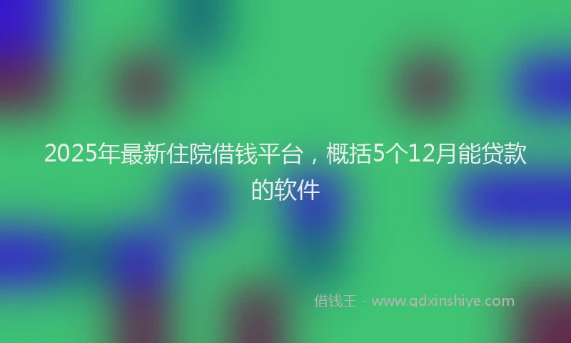 2025年最新住院借钱平台，概括5个12月能贷款的软件