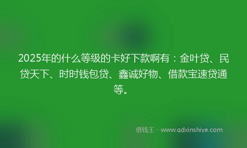 2025年的什么等级的卡好下款啊有：金叶贷、民贷天下、时时钱包贷、鑫诚好物、借款宝速贷通等。