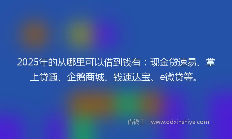 2025年的从哪里可以借到钱有：现金贷速易、掌上贷通、企鹅商城、钱速达宝、e微贷等。