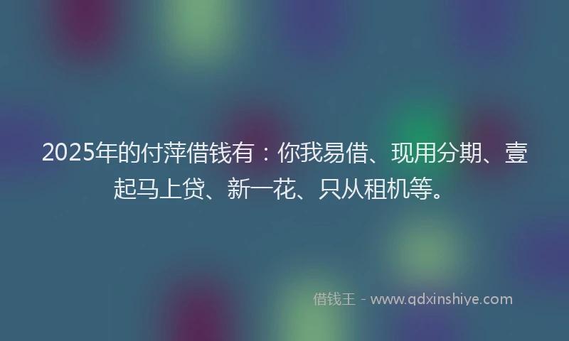 2025年的付萍借钱有：你我易借、现用分期、壹起马上贷、新一花、只从租机等。