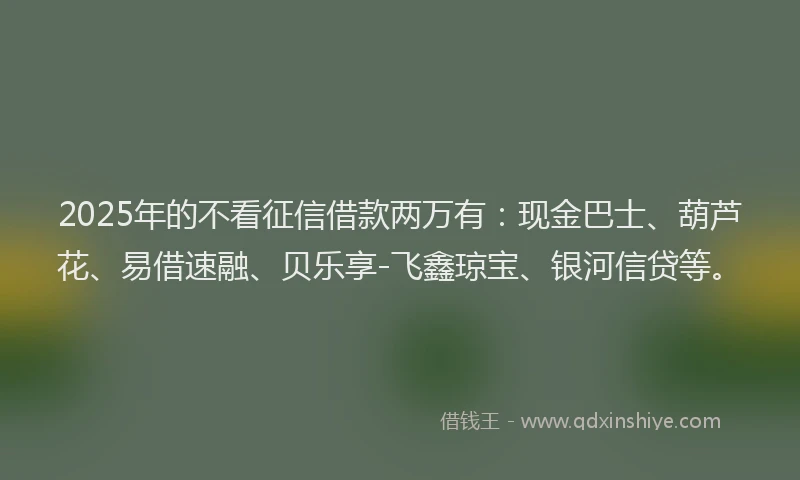 2025年的不看征信借款两万有：现金巴士、葫芦花、易借速融、贝乐享-飞鑫琼宝、银河信贷等。
