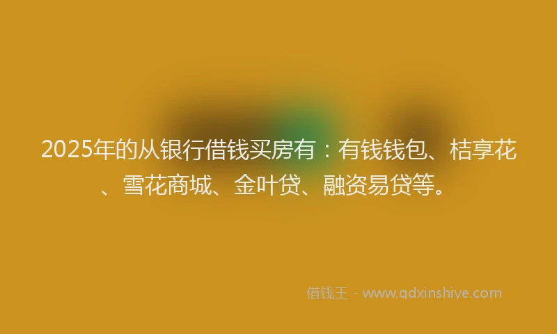 2025年的从银行借钱买房有：有钱钱包、桔享花、雪花商城、金叶贷、融资易贷等。