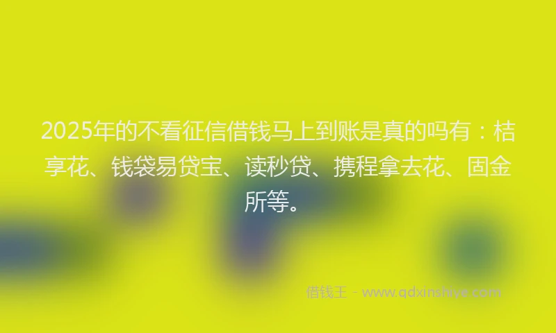 2025年的不看征信借钱马上到账是真的吗有：桔享花、钱袋易贷宝、读秒贷、携程拿去花、固金所等。