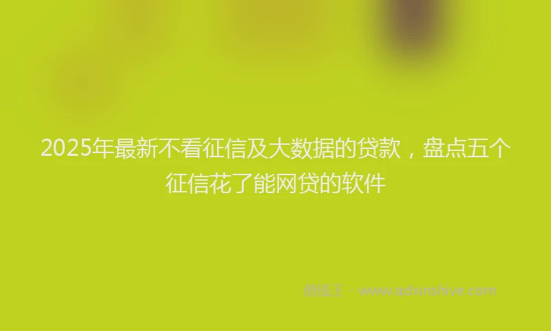 2025年最新不看征信及大数据的贷款，盘点五个征信花了能网贷的软件